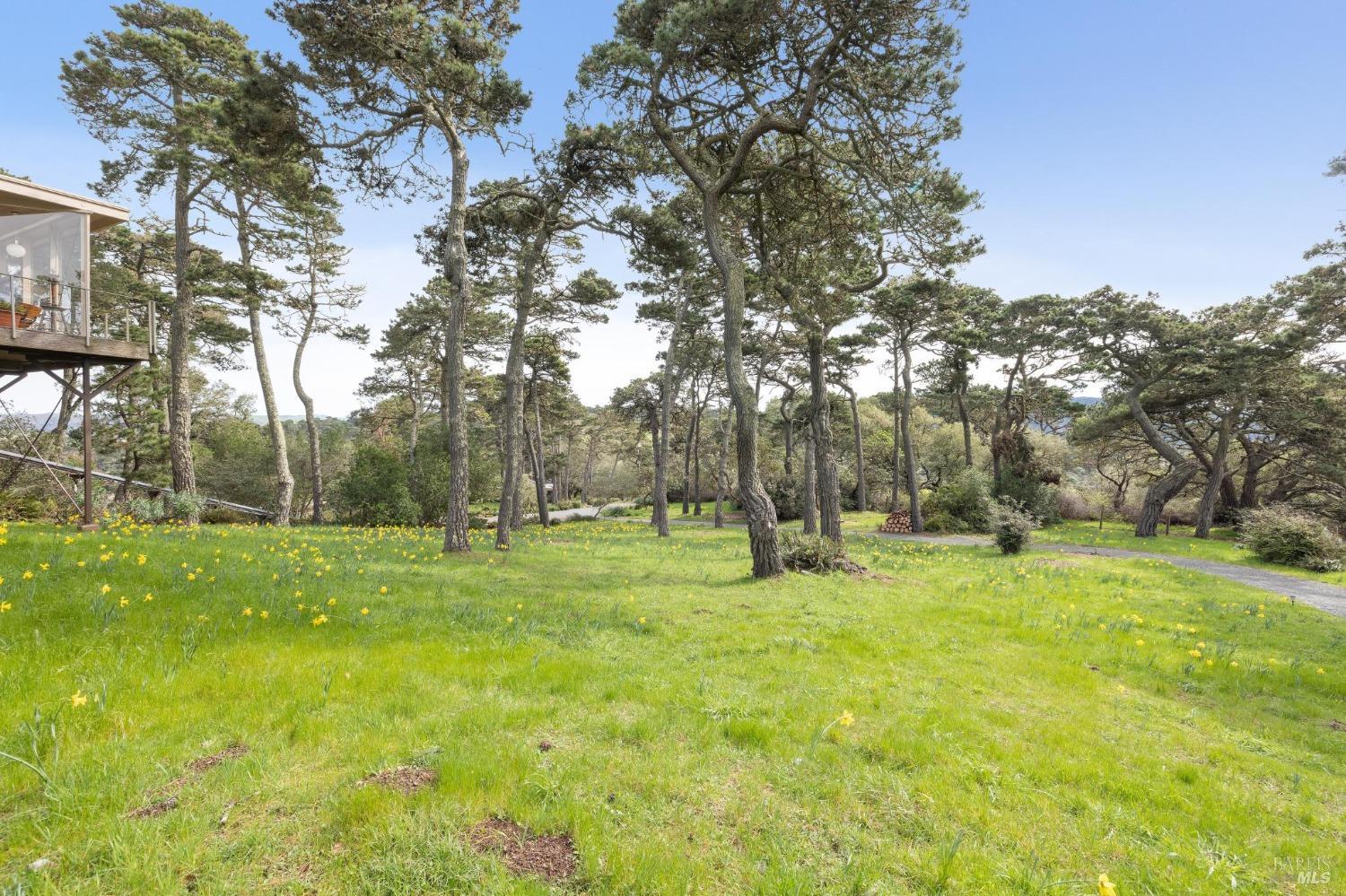 1208 Pierce Point Road Inverness, CA 94937 - Photo 26 of 89