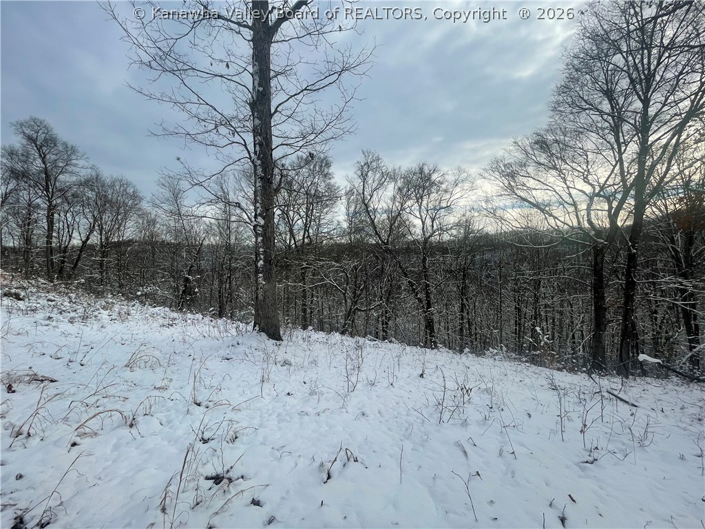 0 Grouse Ridge Sumerco, WV 25567 - Photo 2 of 17 Gallery Image 2