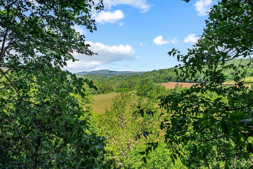 1610 Pope Road Ivanhoe, VA 24350 - Photo 71 of 93 Gallery Image 71