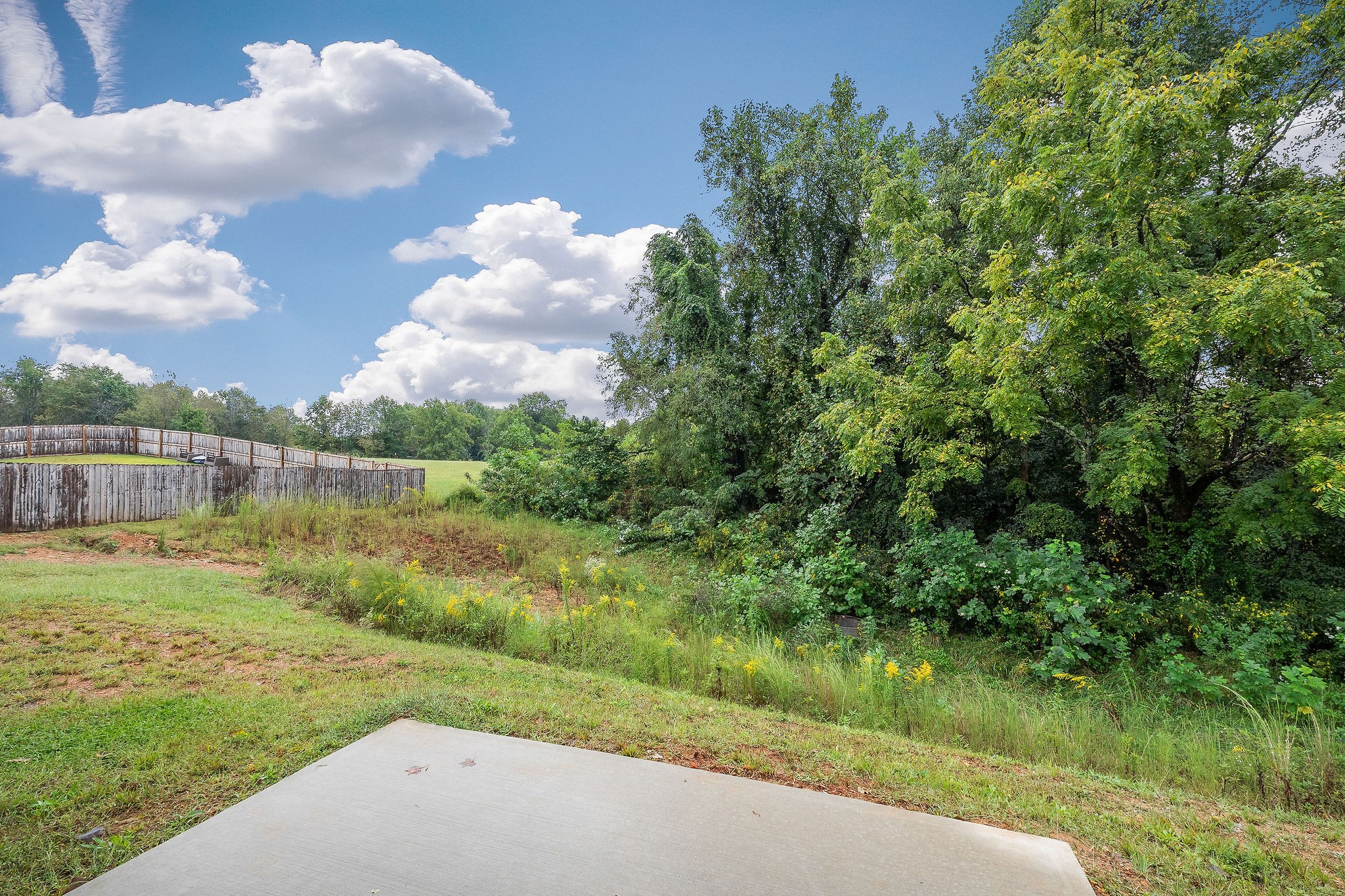 431 Old Morrison Road McMinnville, TN 37110 - Photo 45 of 45 a view of a garden with a lake view