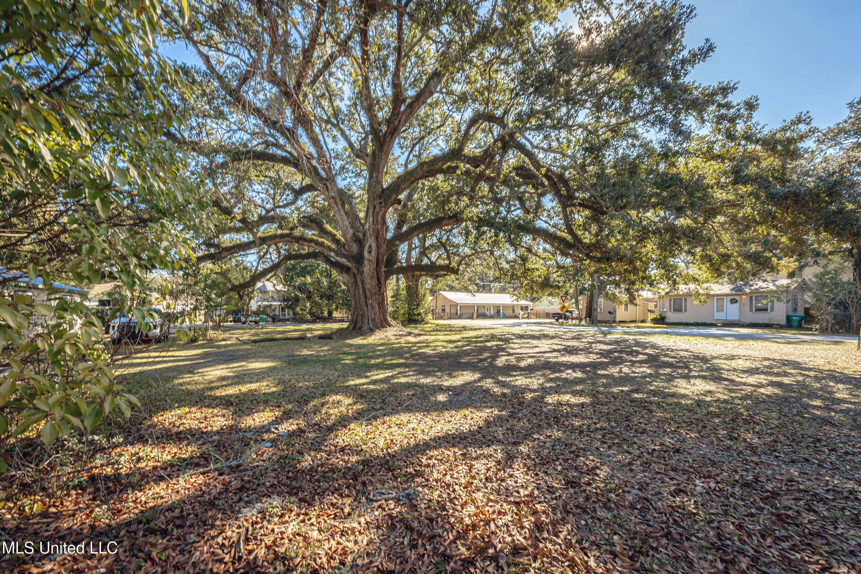 604 Magnolia Avenue Ocean Springs, MS 39564 - Photo 12 of 21 IMG_3980