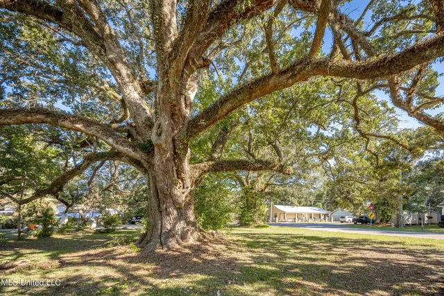 $575,000 | 604 Magnolia Avenue, Ocean Springs, MS 39564