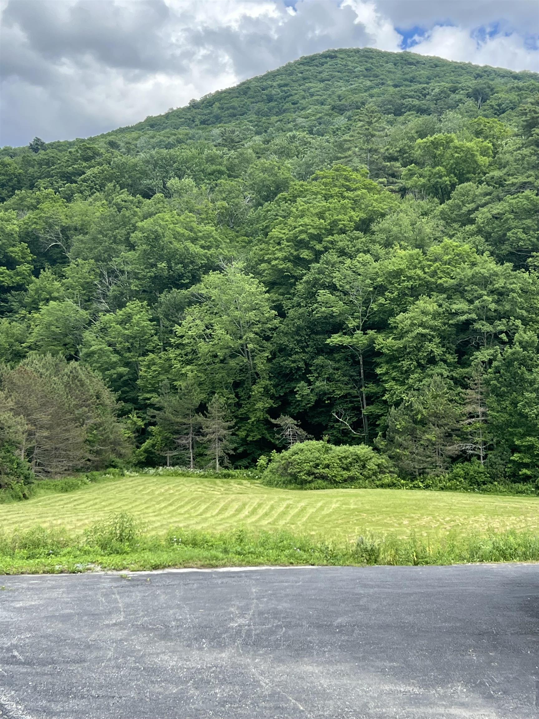 2740 Sandgate Road Sandgate, VT 05250 - Photo 18 of 19