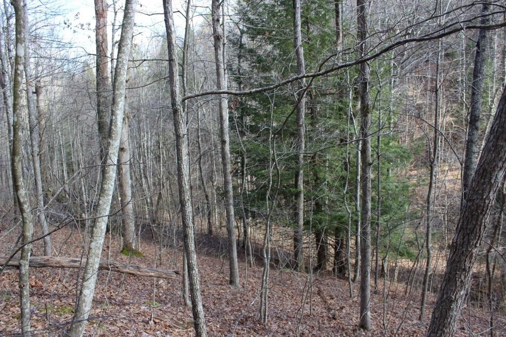 1176 War Fork Road McKee, KY 40447 - Photo 15 of 48 Photo 15