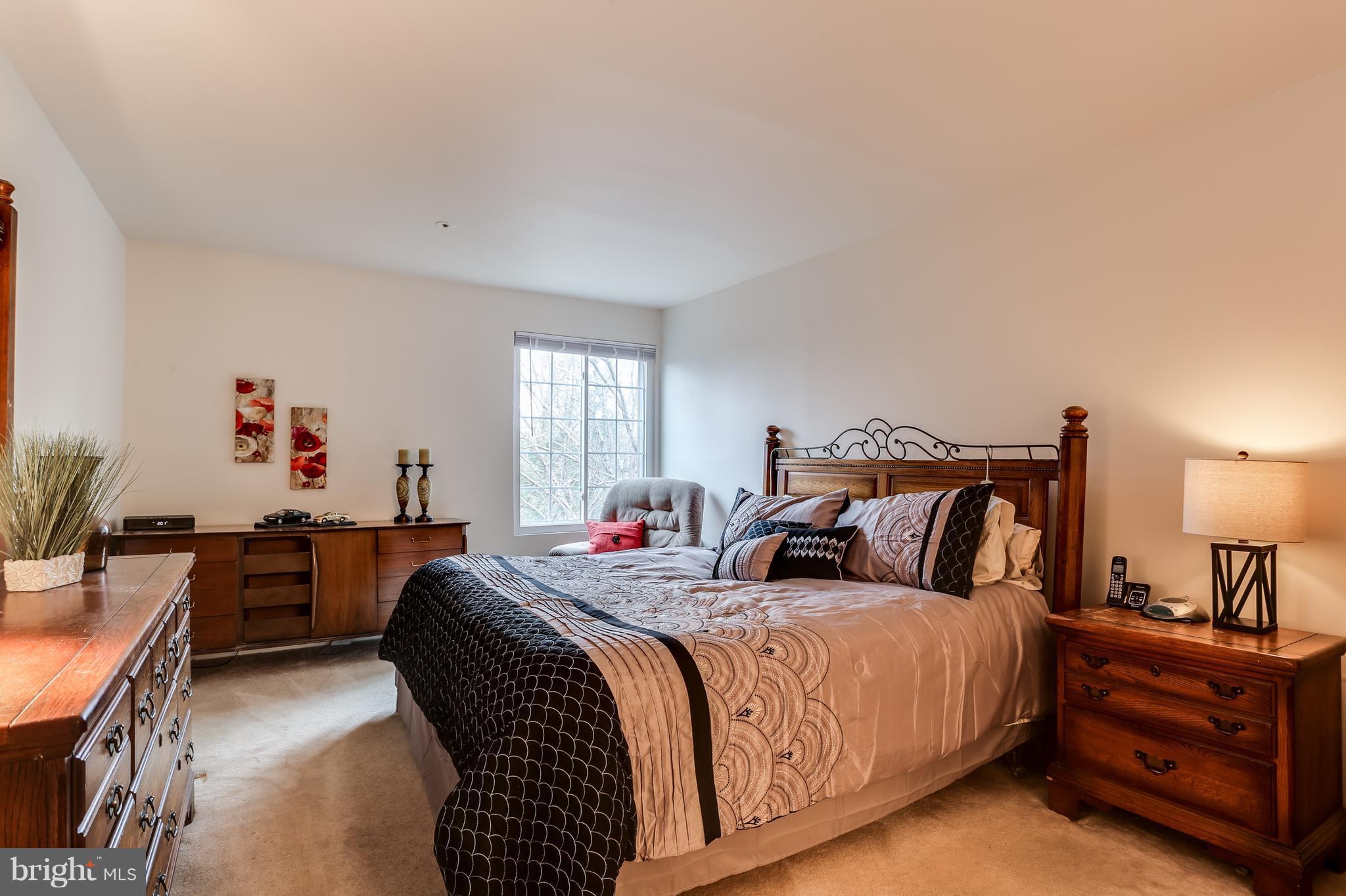 4922 Columbia Road, Unit 687 Columbia, MD 21044 - Photo 22 of 25 Bedroom (Master) with ensuite