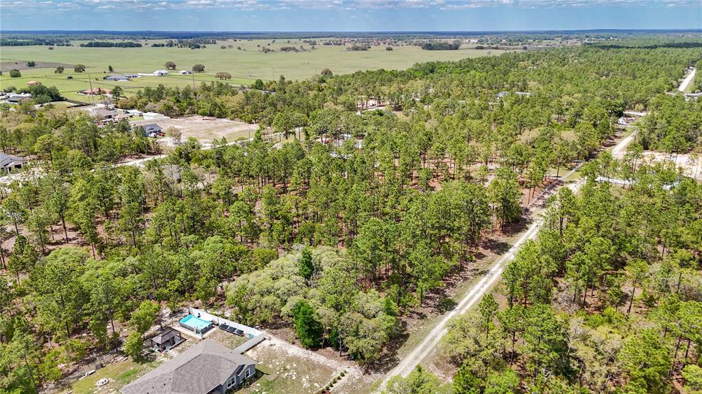 Tbd Southwest 137th Ct Road Dunnellon, FL 34432 - Photo 4 of 19