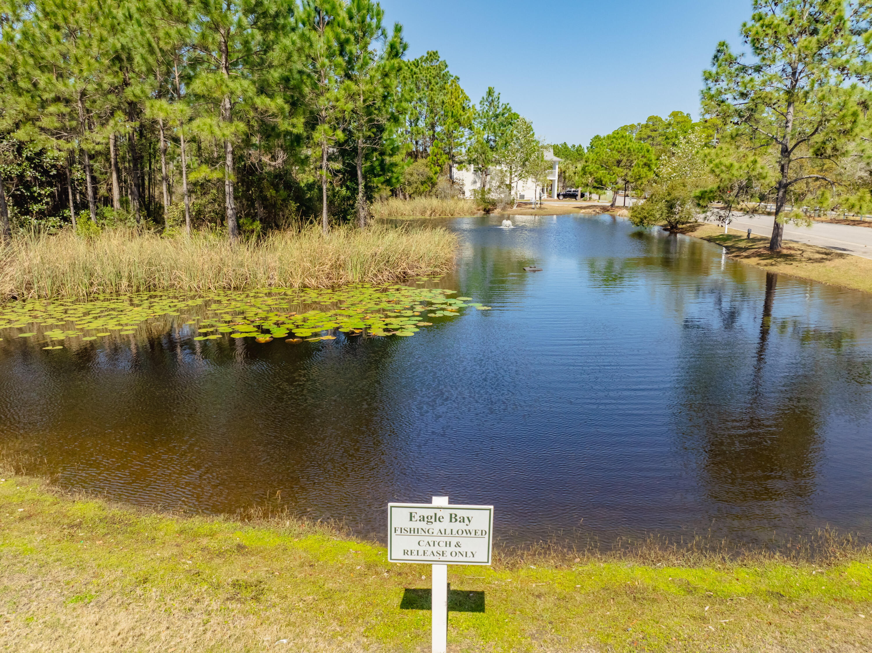 24 Talon Court, Unit 4 Santa Rosa Beach, FL 32459 - Photo 27 of 39 Pond