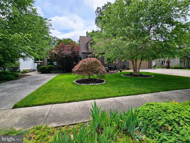 a view of a park with plants and trees
