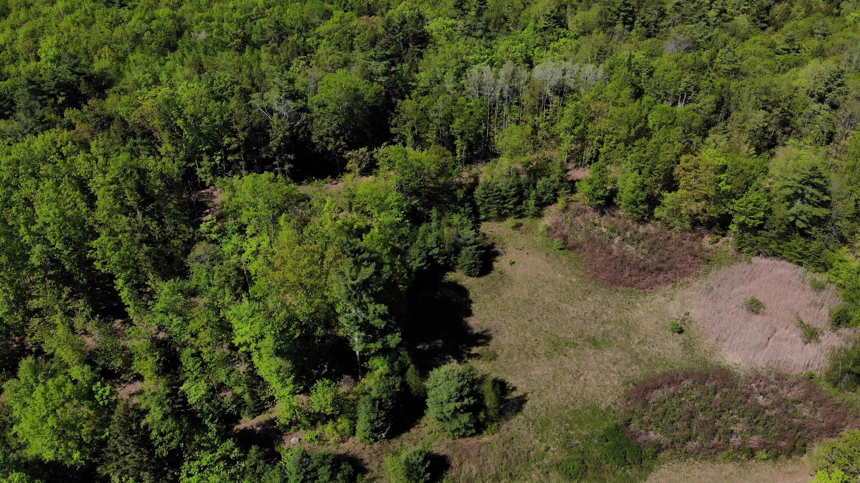250 Drews Mills Road Biddeford, ME 04005 - Photo 7 of 28 DJI_0135 - frame at 4m38s