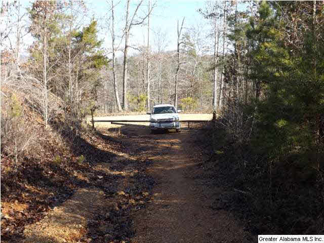 286 County Road, Unit 85 Collinsville, AL 35961 - Photo 20 of 23