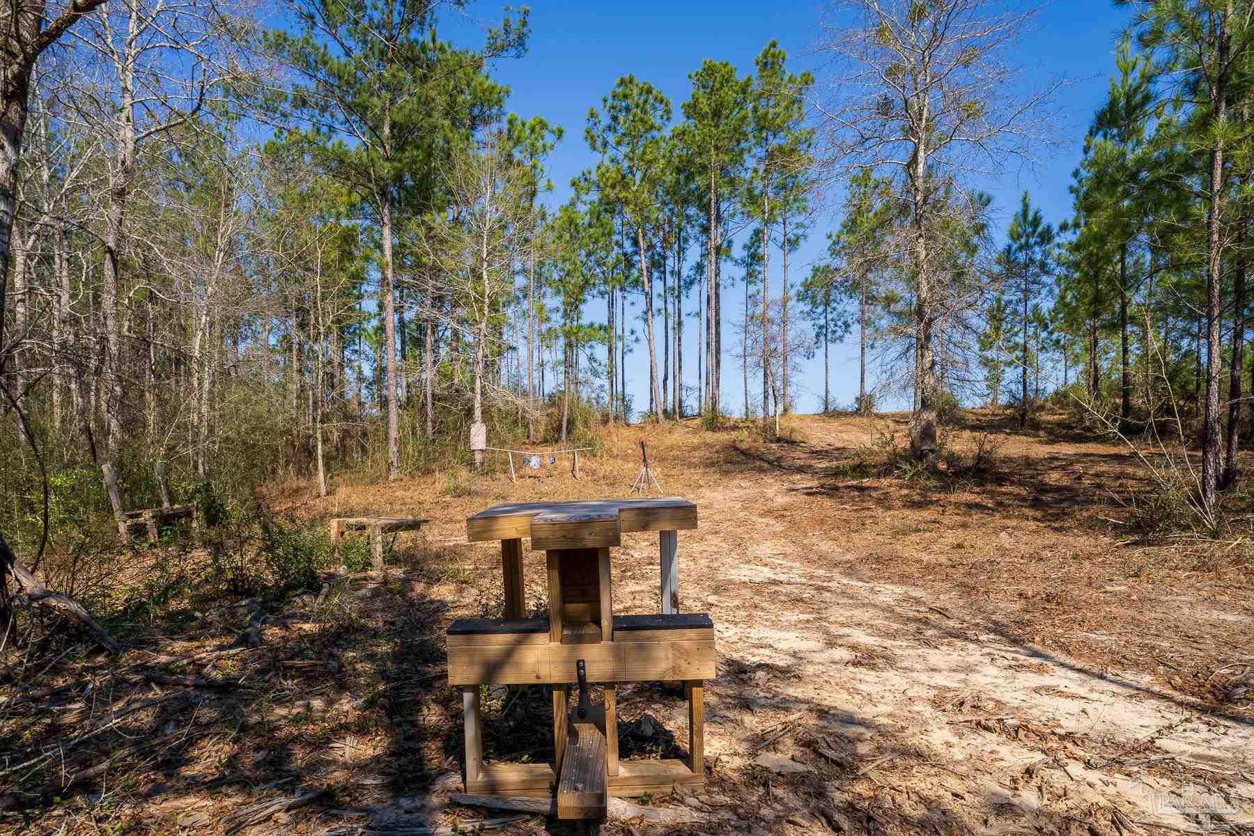 1985 Molino Bridge Road Pace, FL 32571 - Photo 18 of 28