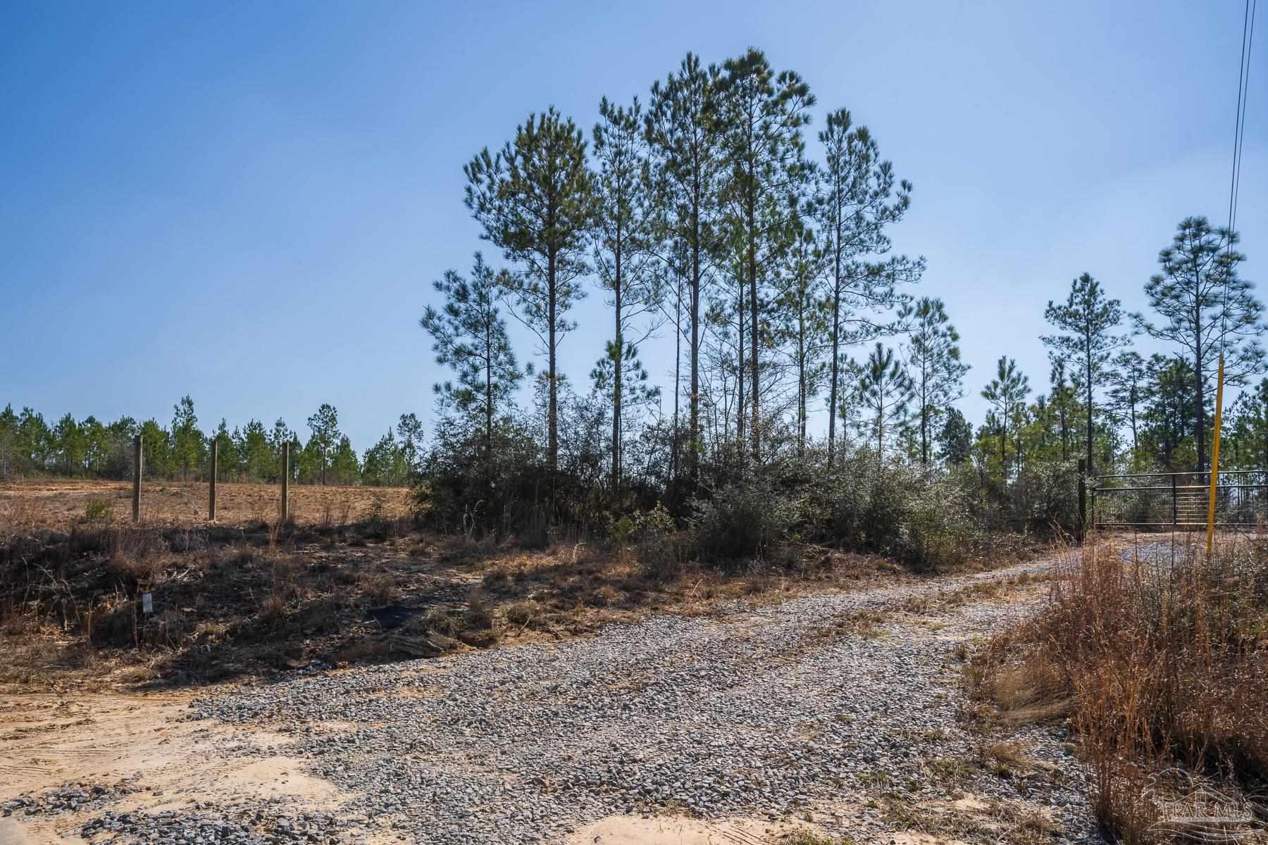 1985 Molino Bridge Road Pace, FL 32571 - Photo 20 of 28