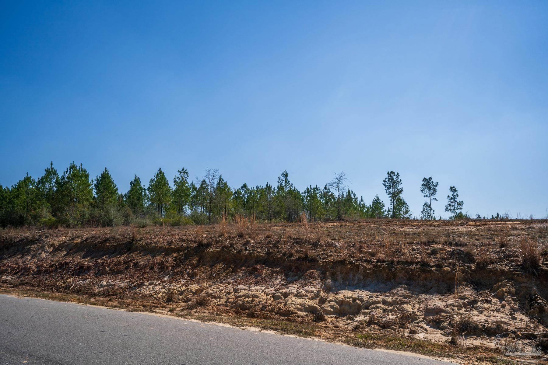 1985 Molino Bridge Road Pace, FL 32571 - Photo 22 of 28