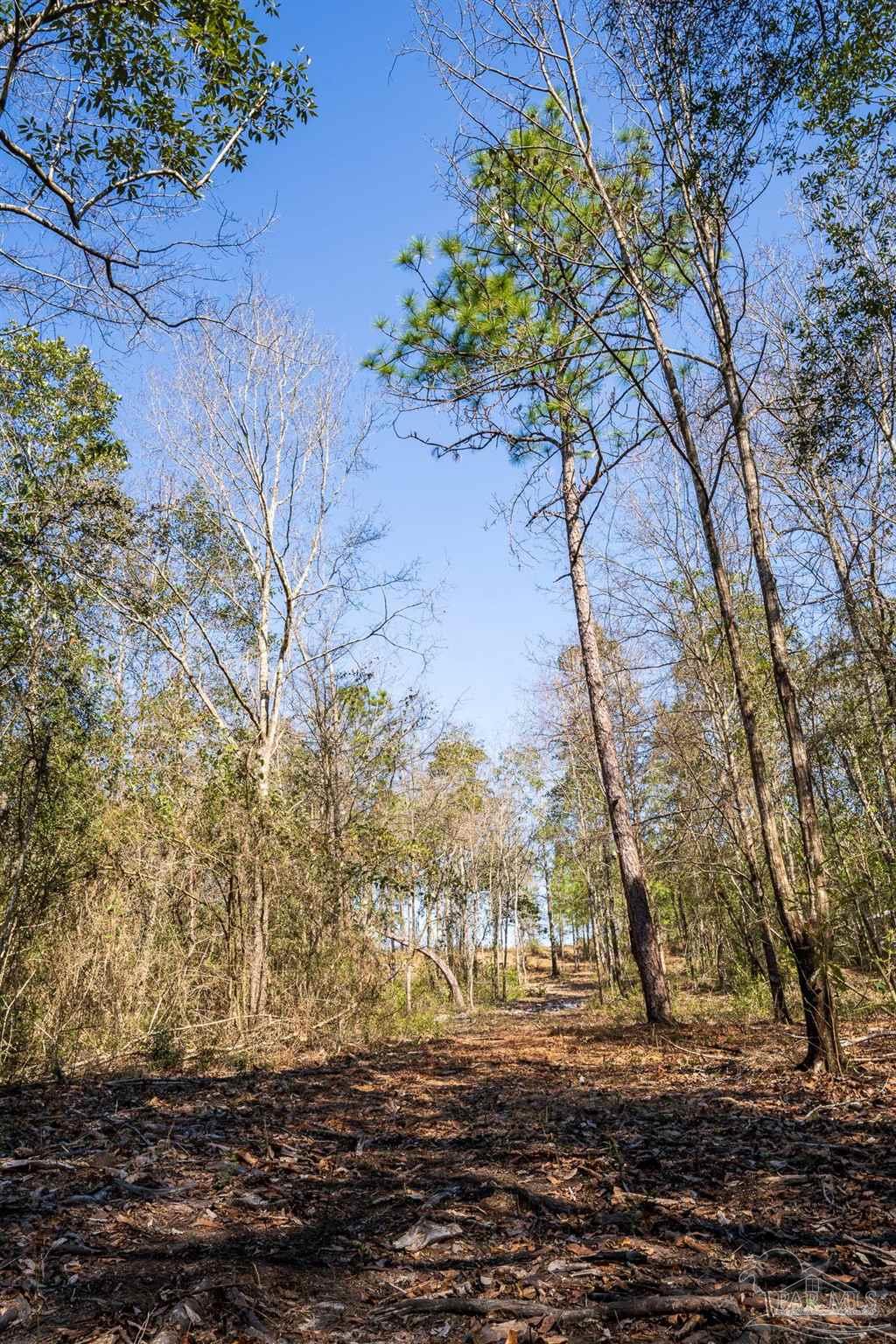 1985 Molino Bridge Road Pace, FL 32571 - Photo 28 of 28