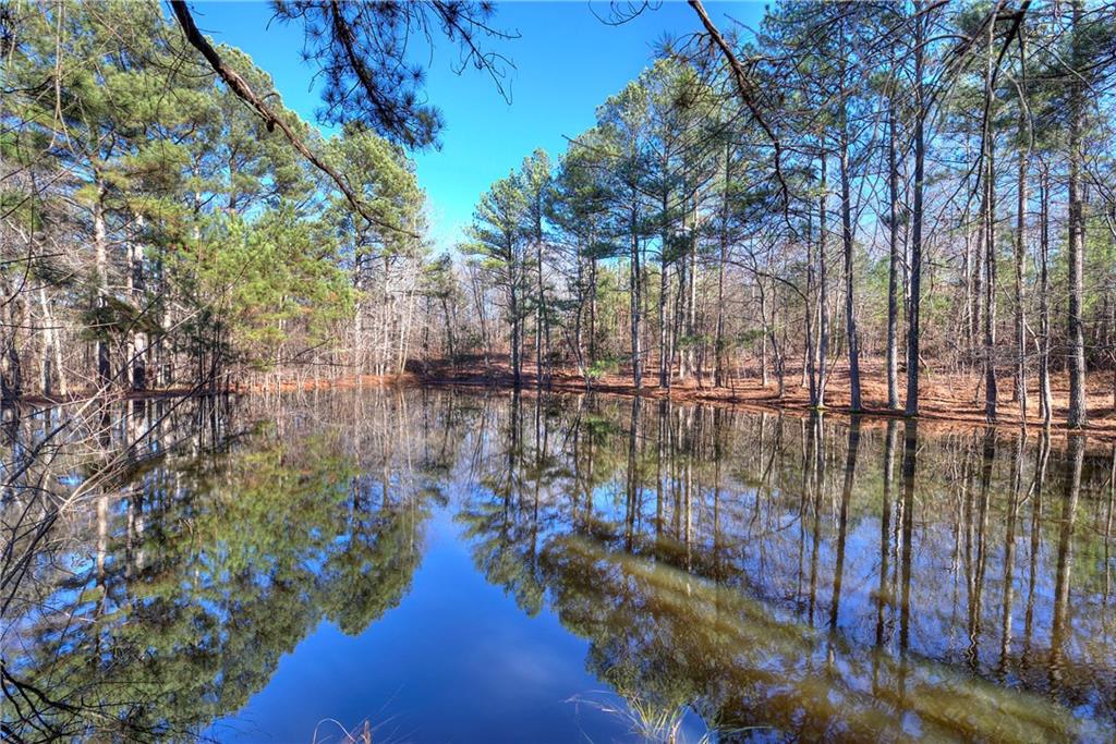 368 Pleasant Valley Road Northwest Adairsville, GA 30103 - Photo 12 of 31 a view of water with a lake view