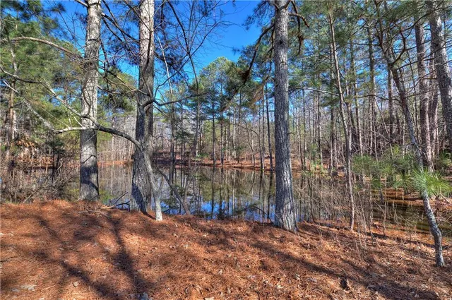 a view of a yard with a tree
