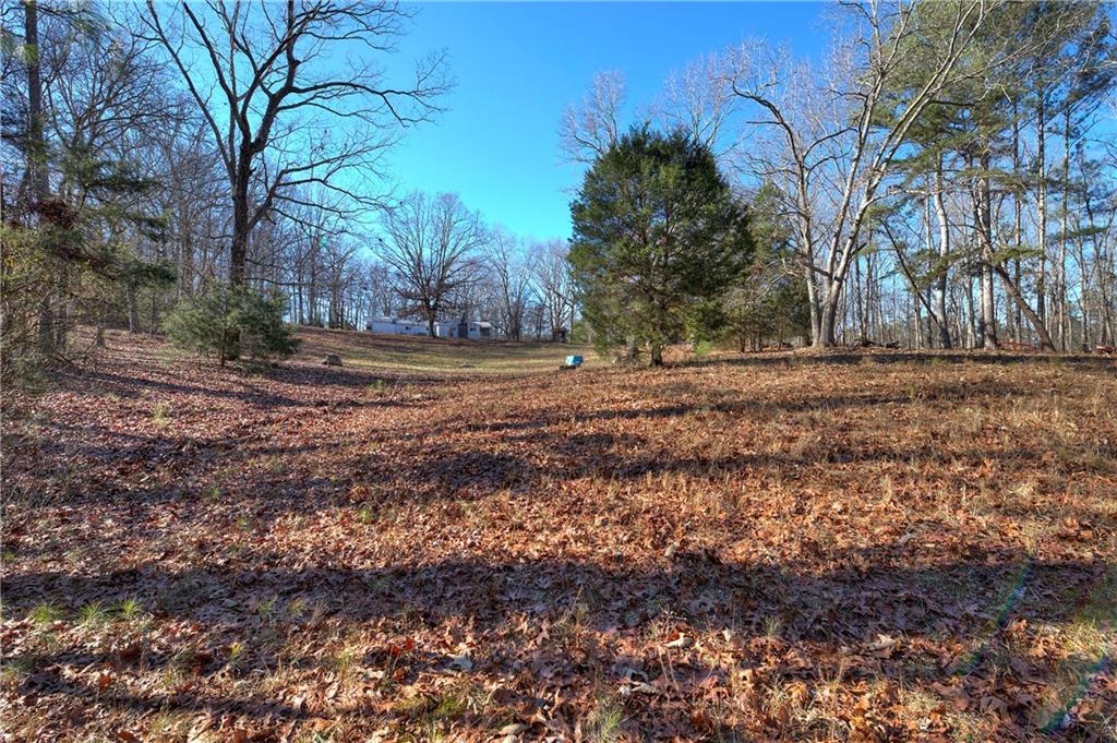 368 Pleasant Valley Road Northwest Adairsville, GA 30103 - Photo 14 of 31 a view of a yard with a tree
