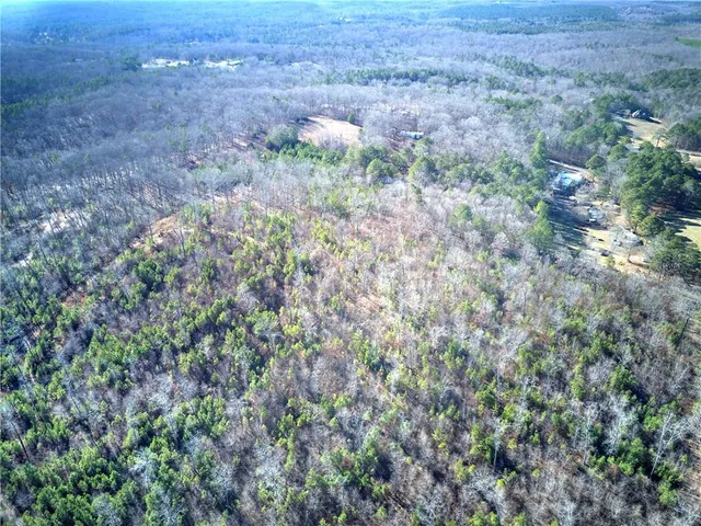 a view of a lush green field