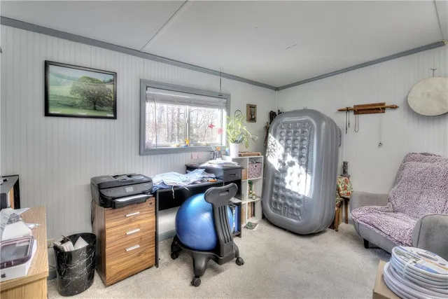 a bedroom with furniture and a potted plant