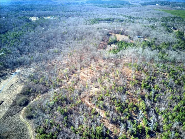 a view of a lush green yard