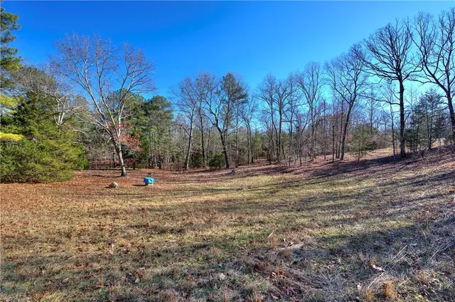 a backyard of a house with lots of green space