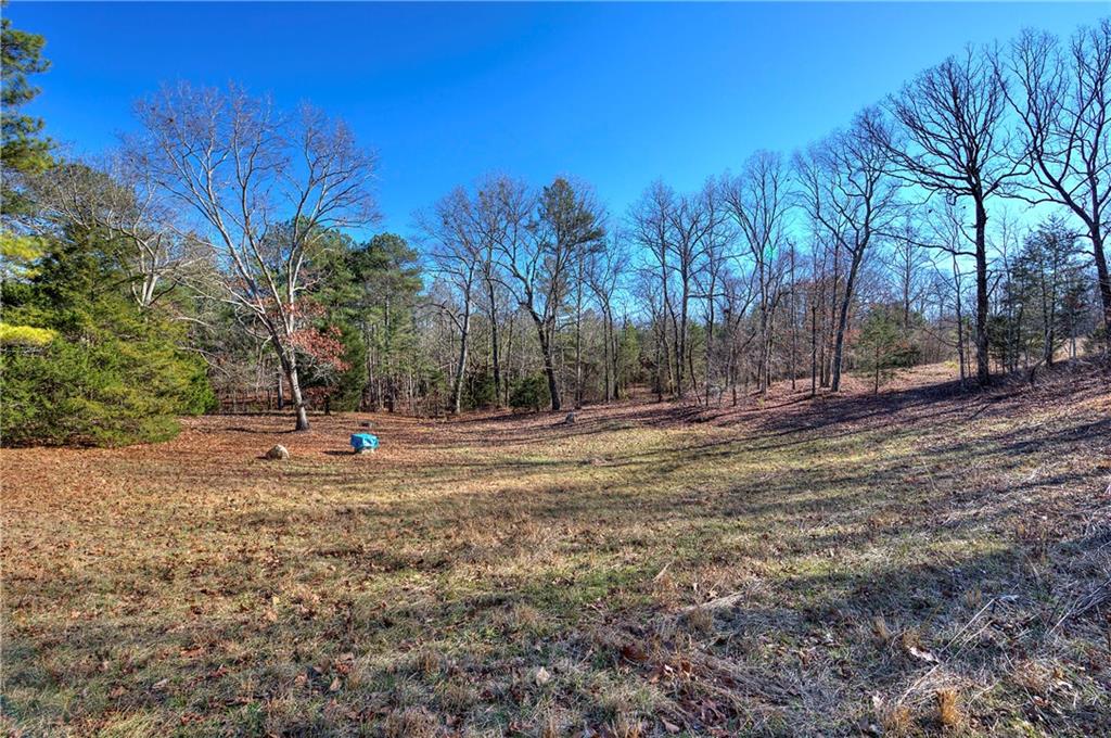 368 Pleasant Valley Road Northwest Adairsville, GA 30103 - Photo 10 of 31 a view of a yard with a tree