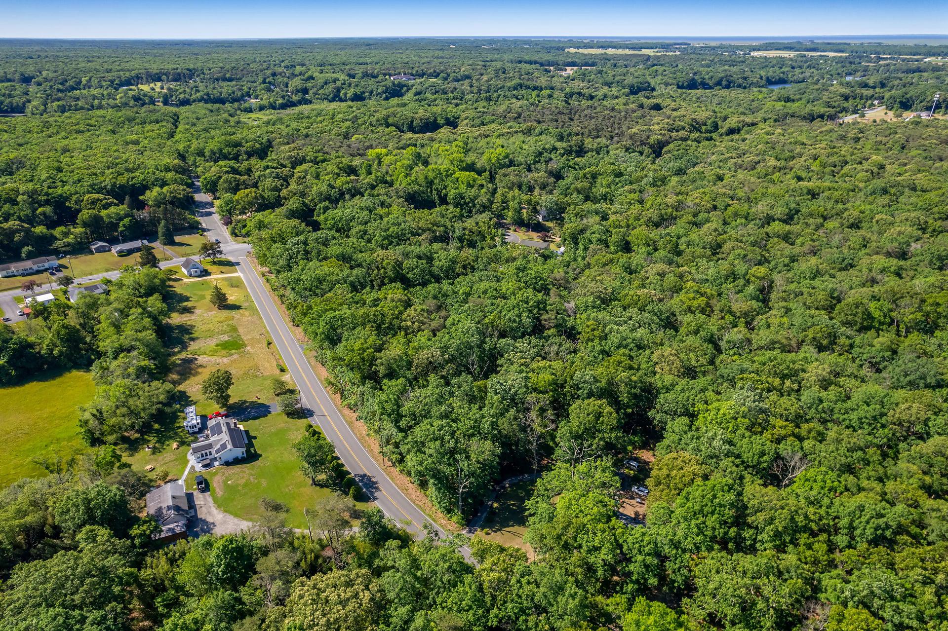 164 Clarks Pond Road Bridgeton, NJ 08302 - Photo 24 of 27 Serene woodland retreat awaits you.