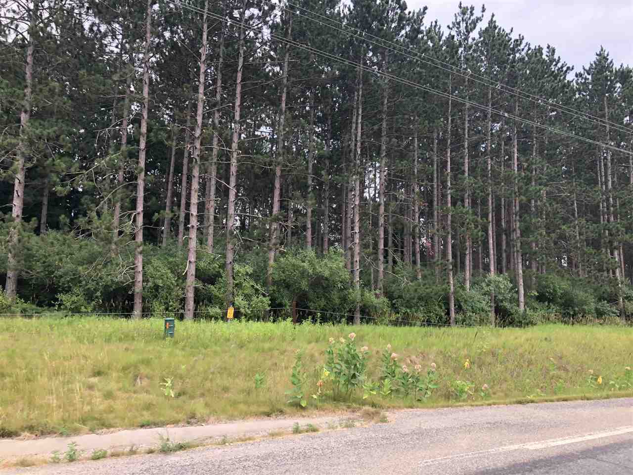 Parcel C South Rolland Road Weidman, MI 48893 - Photo 3 of 5