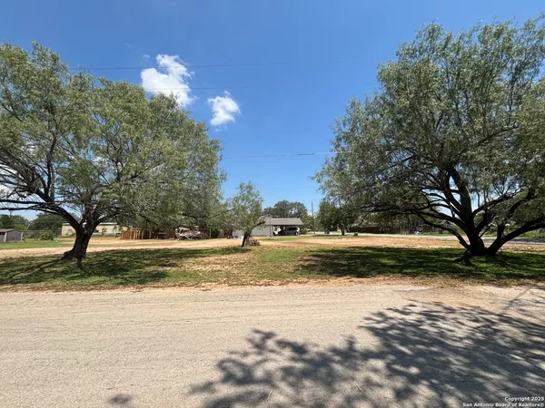 a view of a yard with a large tree