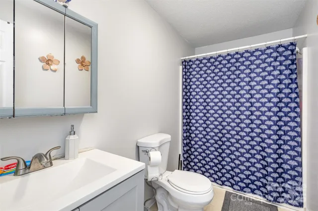 a bathroom with a sink a toilet and a shower curtain