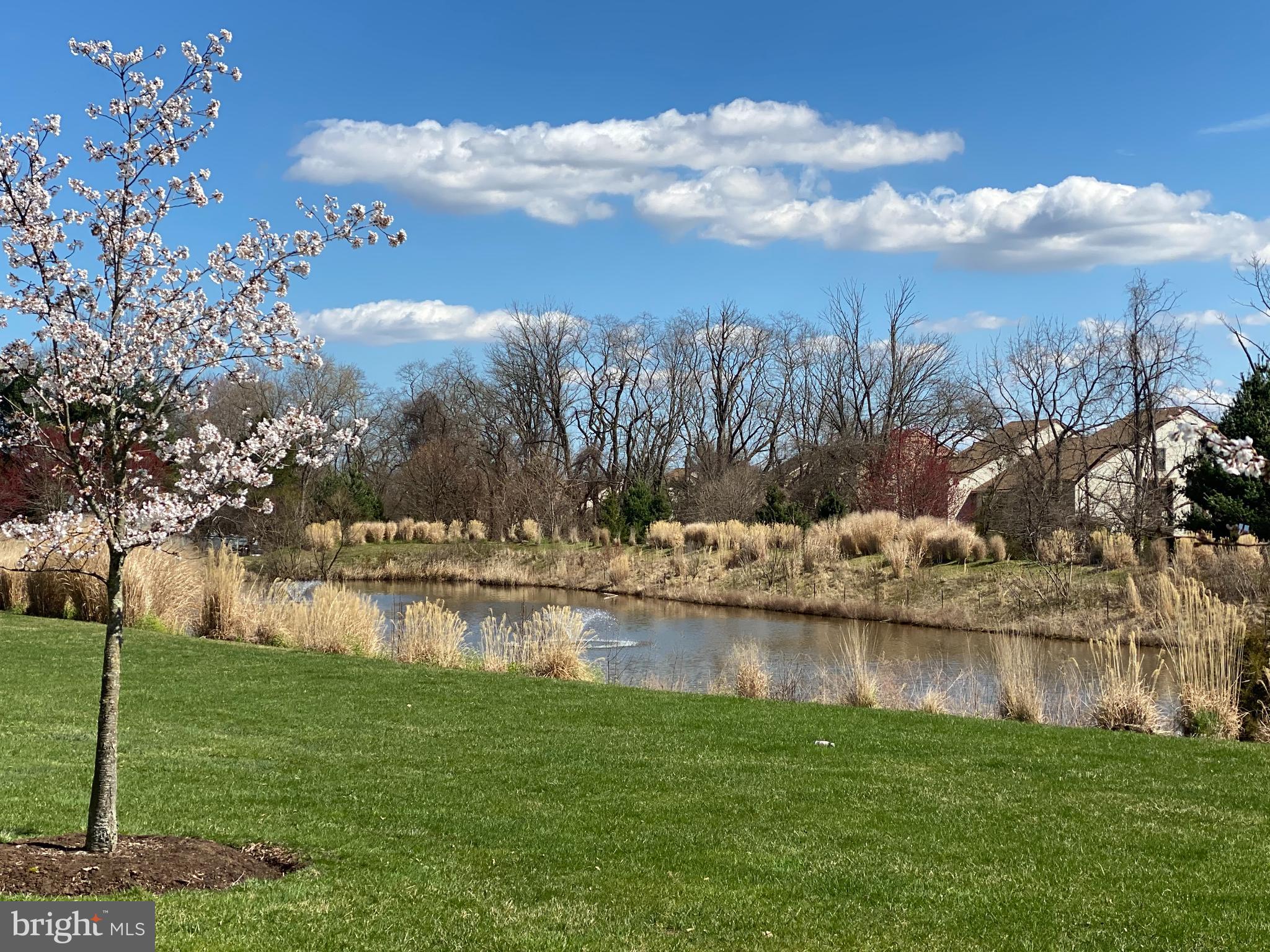 10 Meredith Drive Holland, PA 18966 - Photo 40 of 41 Association Pond with Benches Nearby