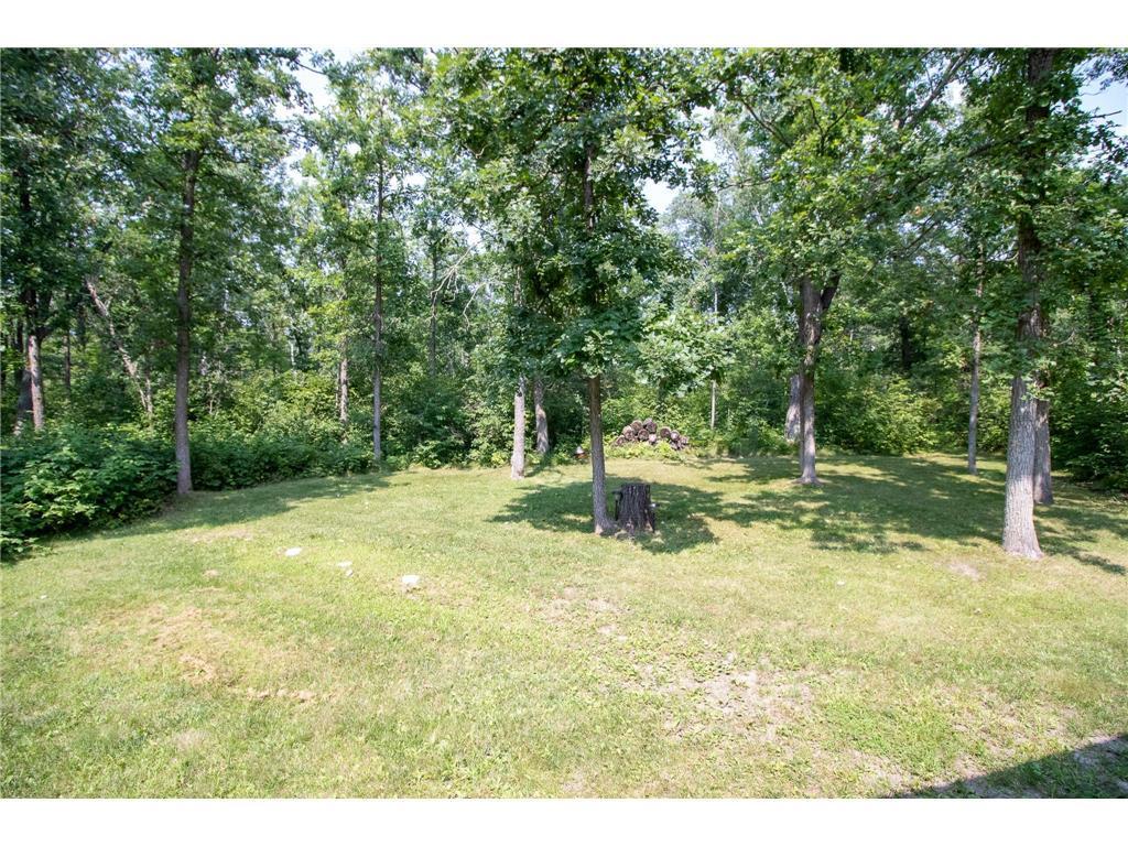 42683 County 3 Solway, MN 56678 - Photo 12 of 36