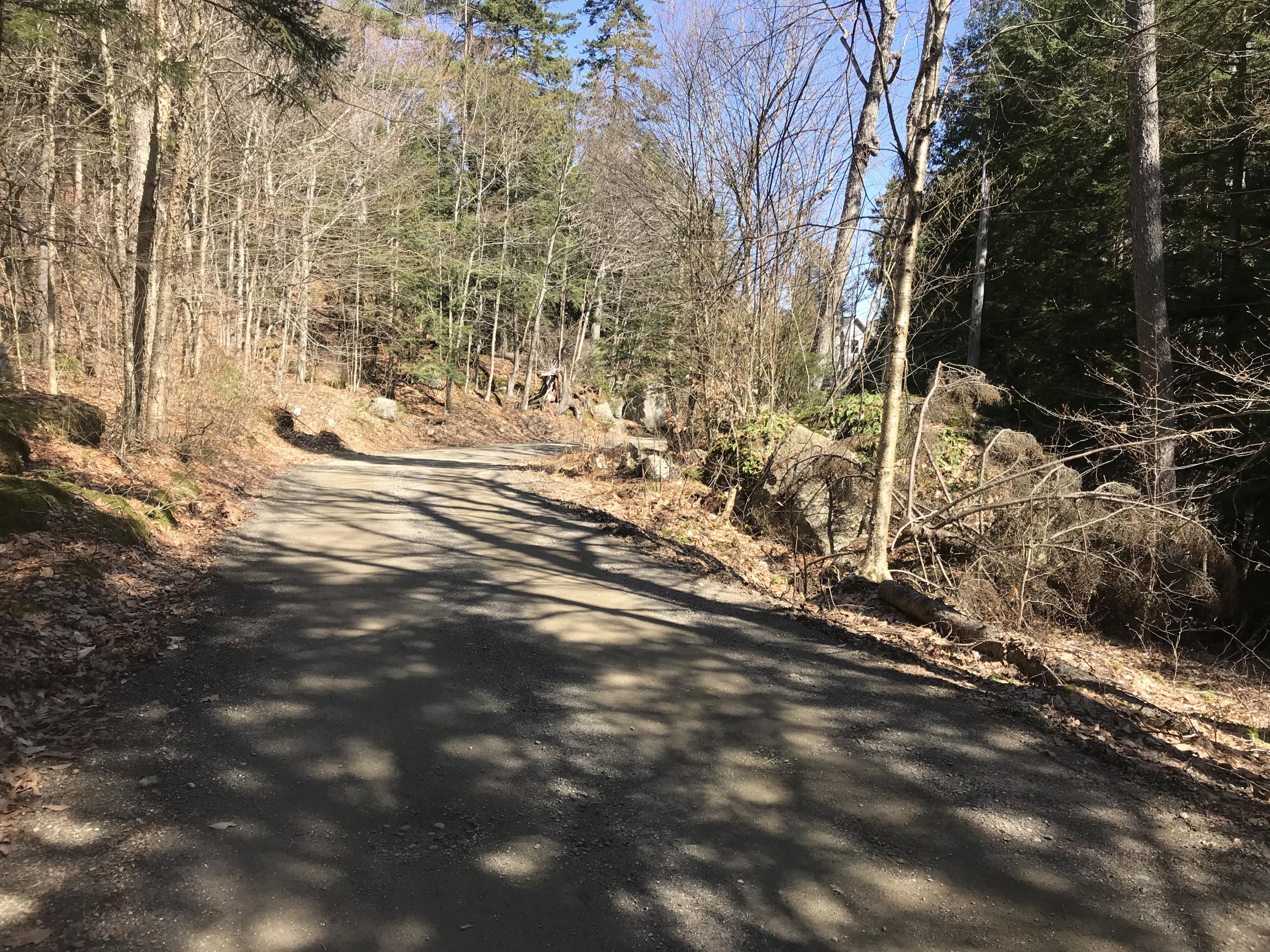 0 Fitts Mountain Road Dedham, ME 04429 - Photo 52 of 83 Jq7nrysrSVOozqg+FX0viA