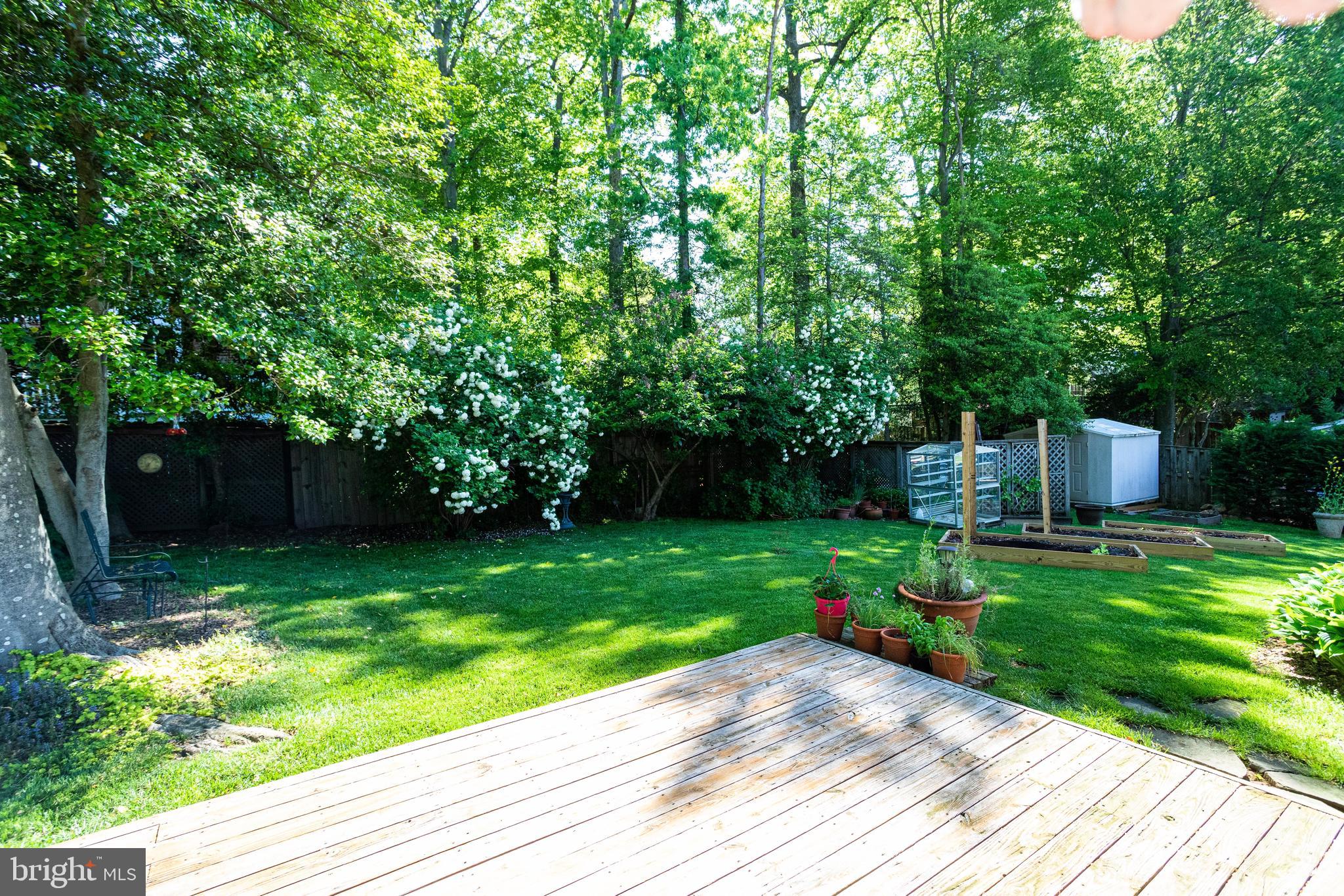 5513 Yorkshire Street Springfield, VA 22151 - Photo 25 of 32 Fully Fenced-in Yard
