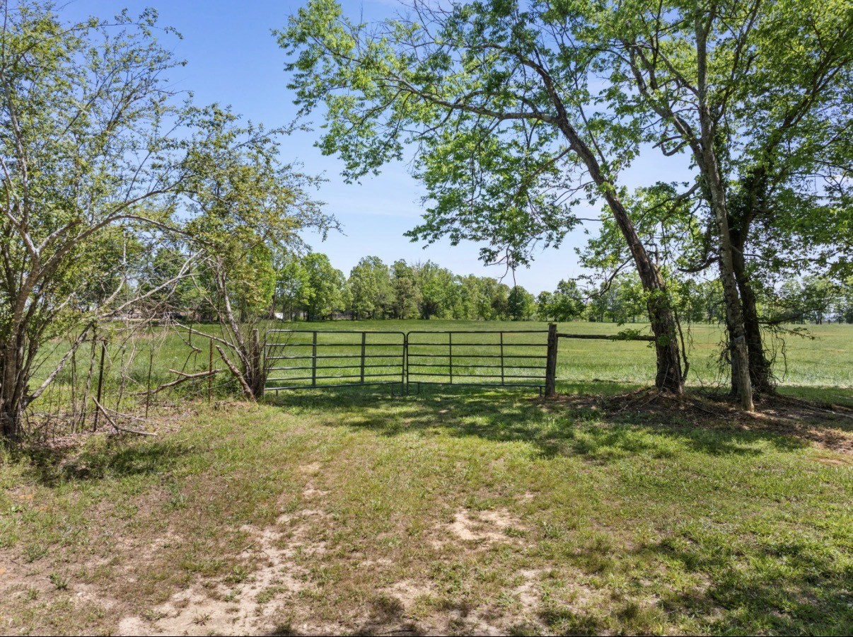 0 Chisholm Road Iron City, TN 38463 - Photo 2 of 5