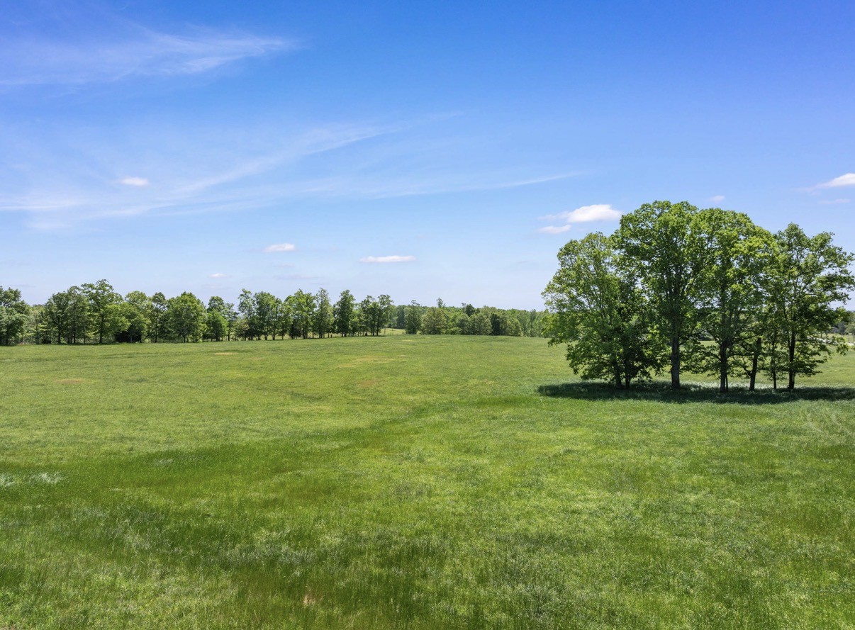0 Chisholm Road Iron City, TN 38463 - Photo 5 of 5 a view of a field of grass and trees