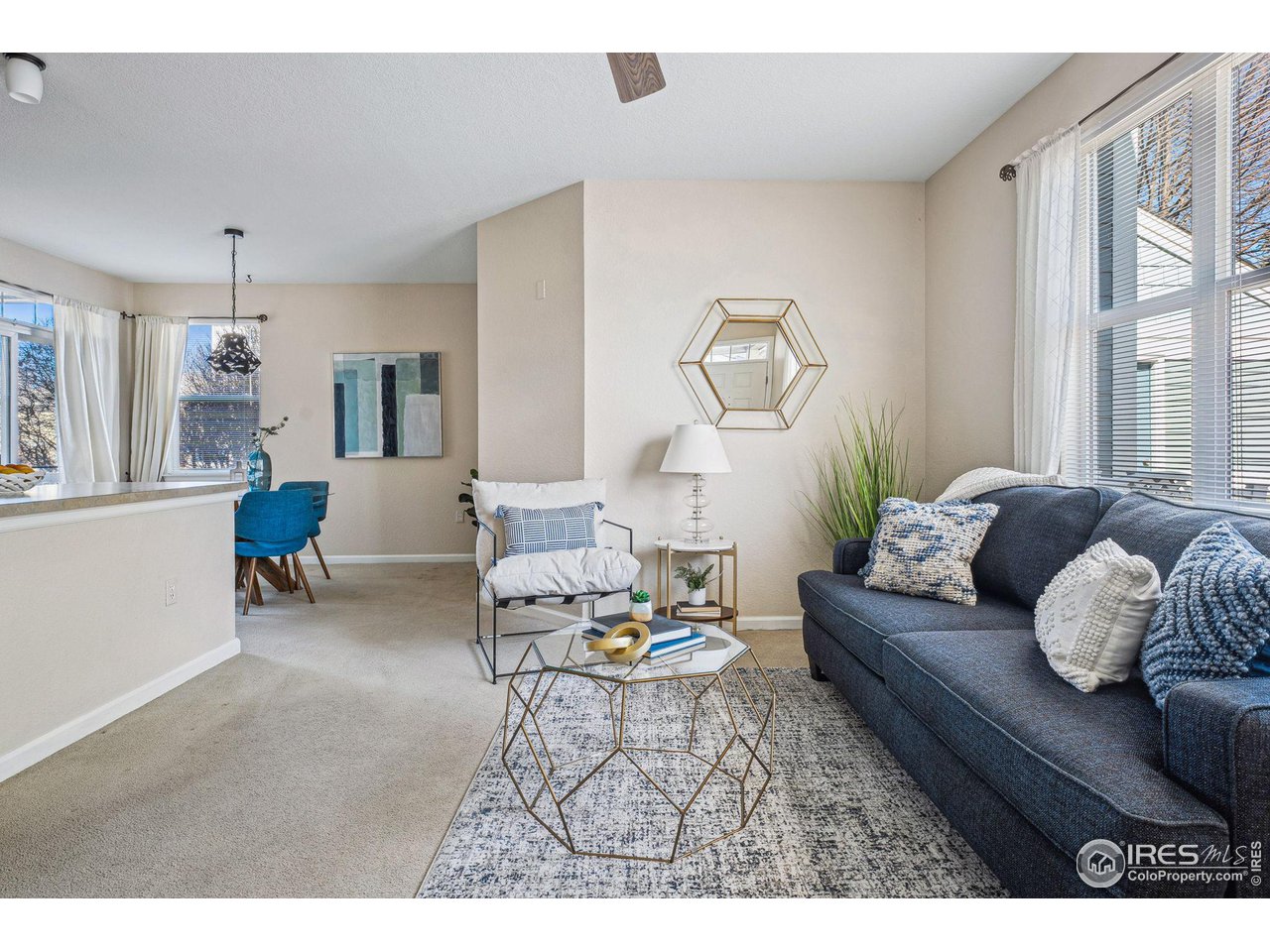 4501 Nelson Road, Unit 2303 Longmont, CO 80503 - Photo 11 of 36 Living room and dining room