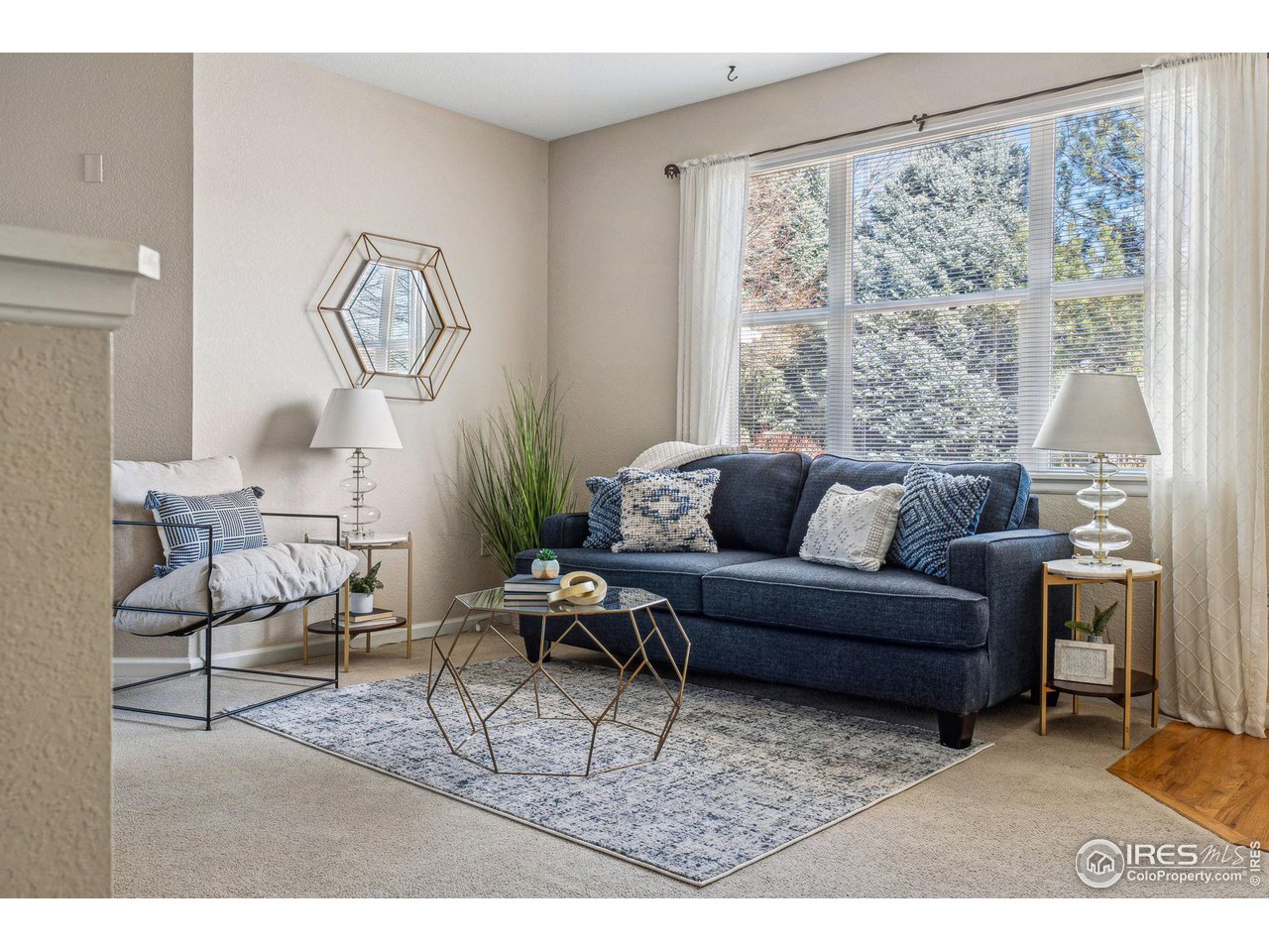 4501 Nelson Road, Unit 2303 Longmont, CO 80503 - Photo 13 of 36 Bright and open living room
