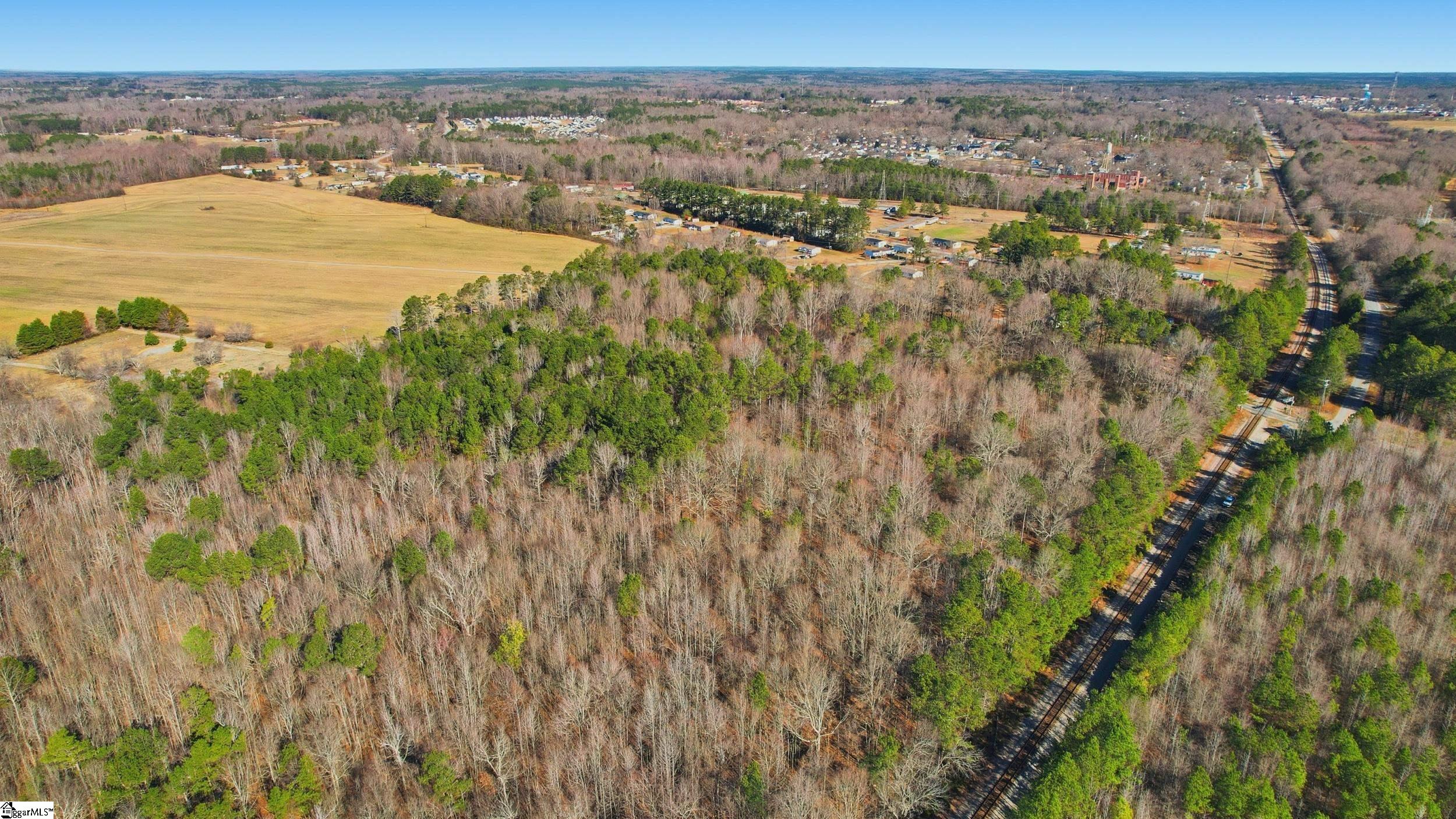 0 Apple Orchard Road Clinton, SC 29325 - Photo 5 of 22