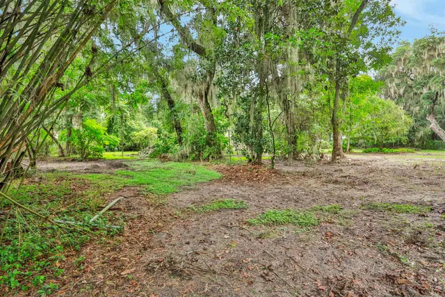 a view of a trees with a yard