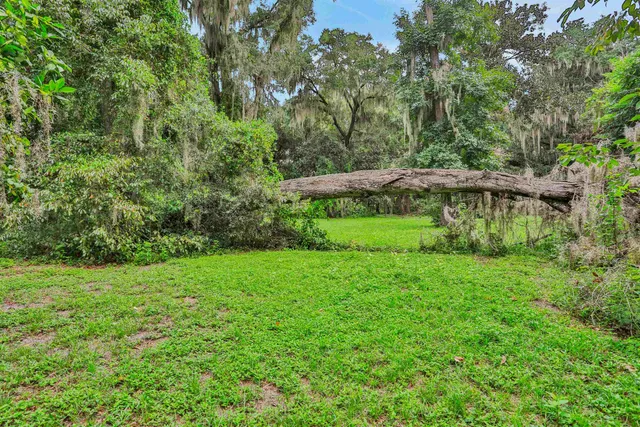 a view of a garden with a bench under an umbrella