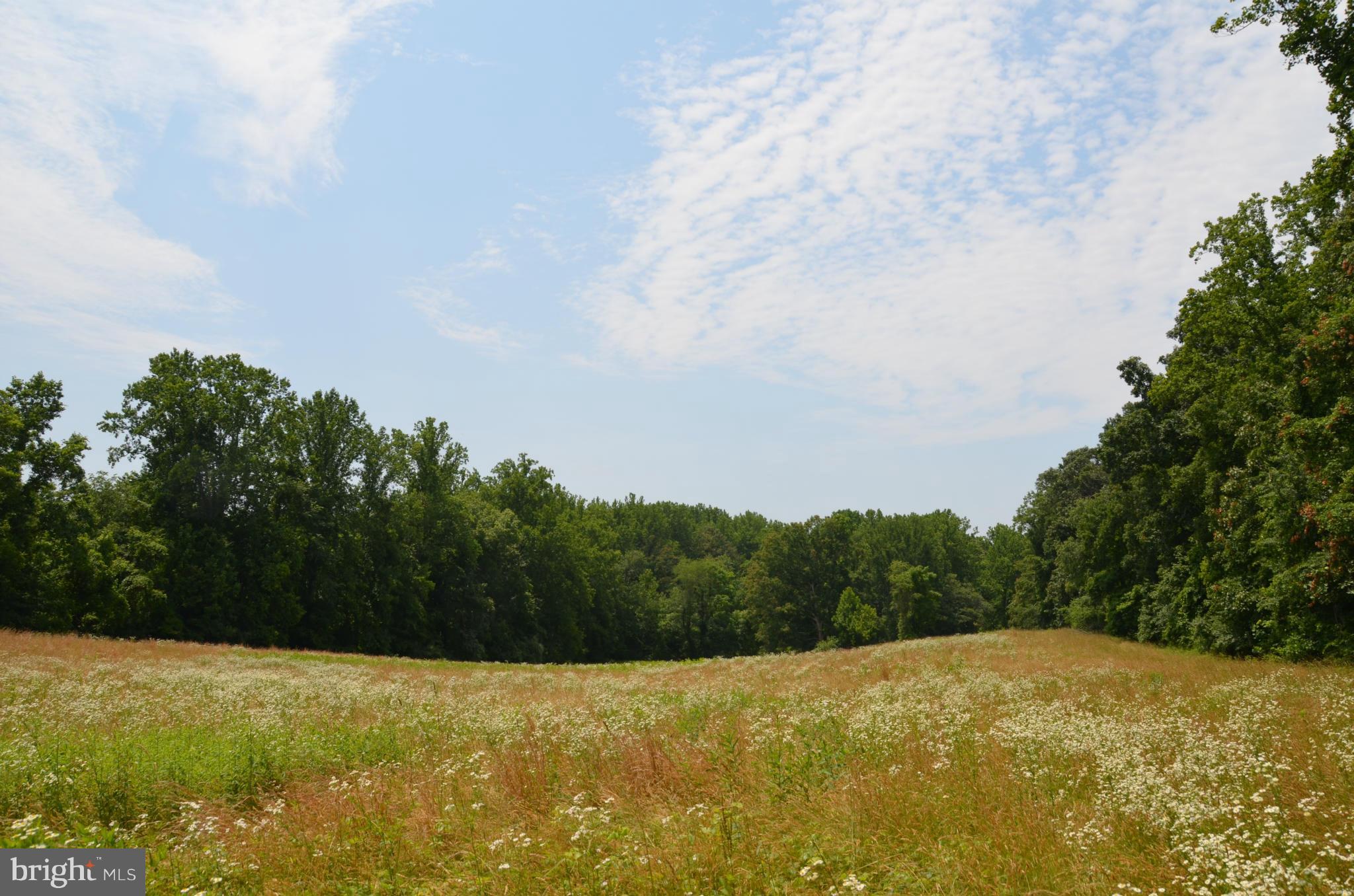 0 Keyser Road Hume, VA 22639 - Photo 1 of 1 Exterior (General)