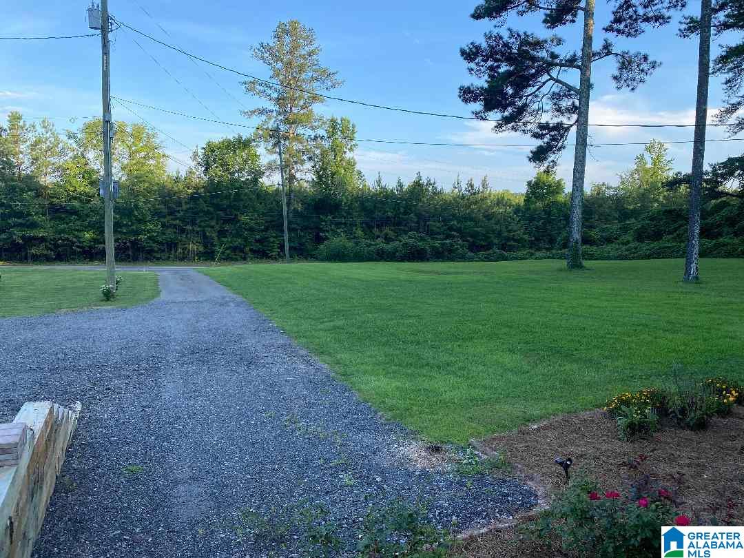 9737 Highway 11 Springville, AL 35146 - Photo 28 of 28