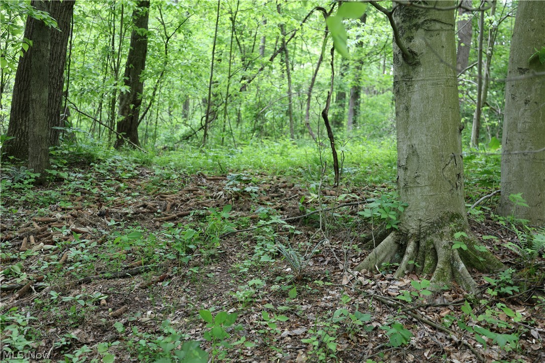 61342 High Hill Road Cambridge, OH 43725 - Photo 25 of 37
