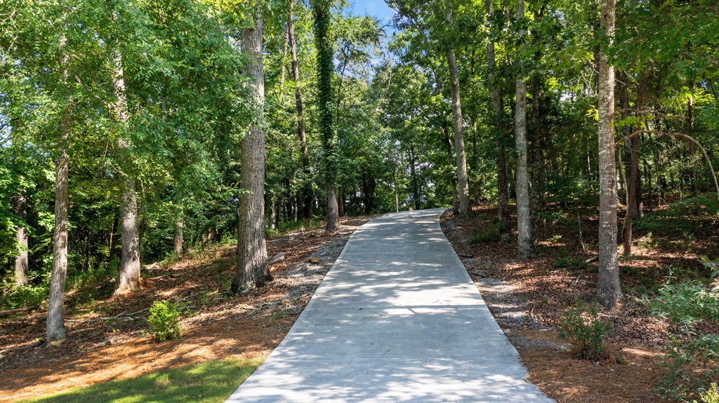 220 Long Road Northeast Rydal, GA 30171 - Photo 5 of 66 Gallery Image 5