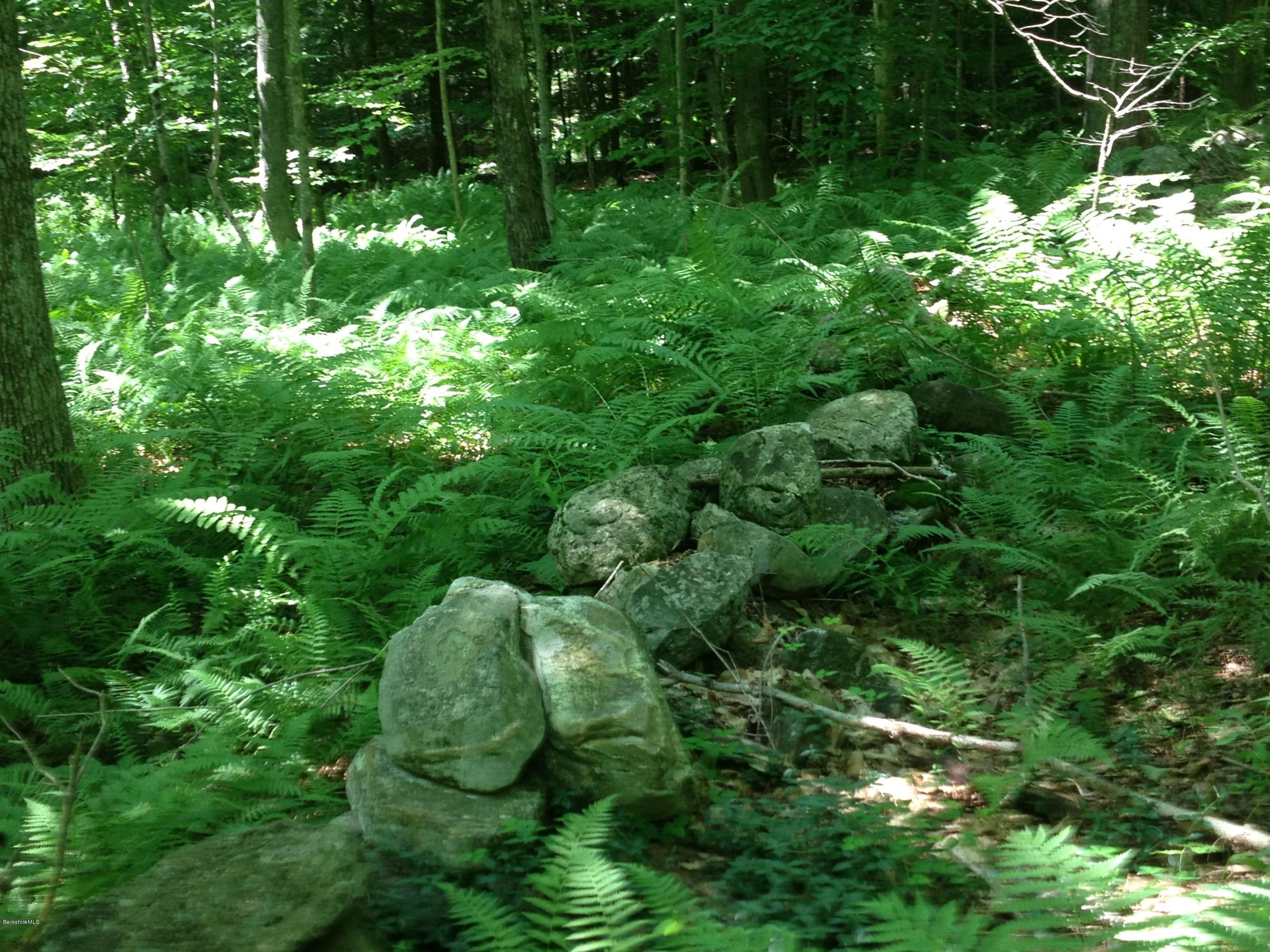 Shade Road Sandisfield, MA 01255 - Photo 4 of 8
