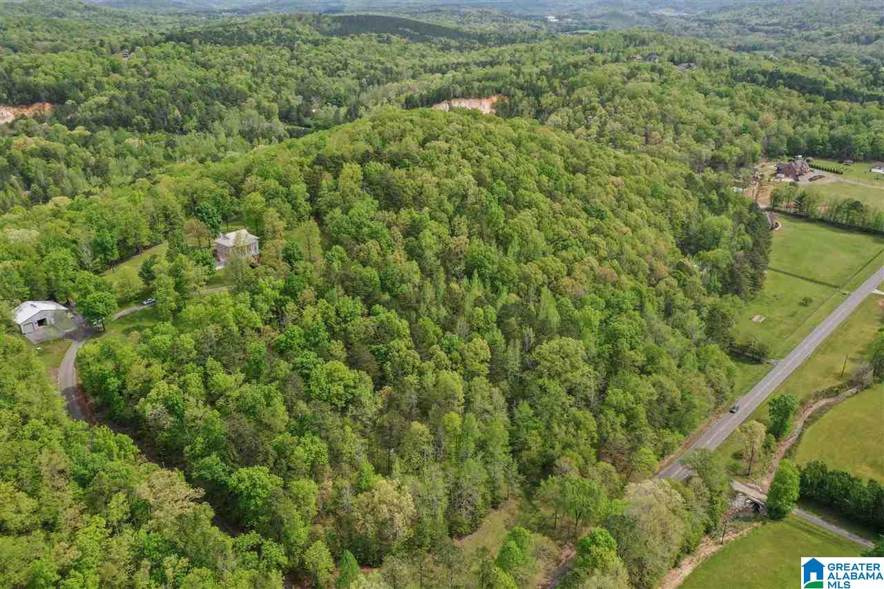9235 Old Springville Road Trussville, AL 35173 - Photo 42 of 50