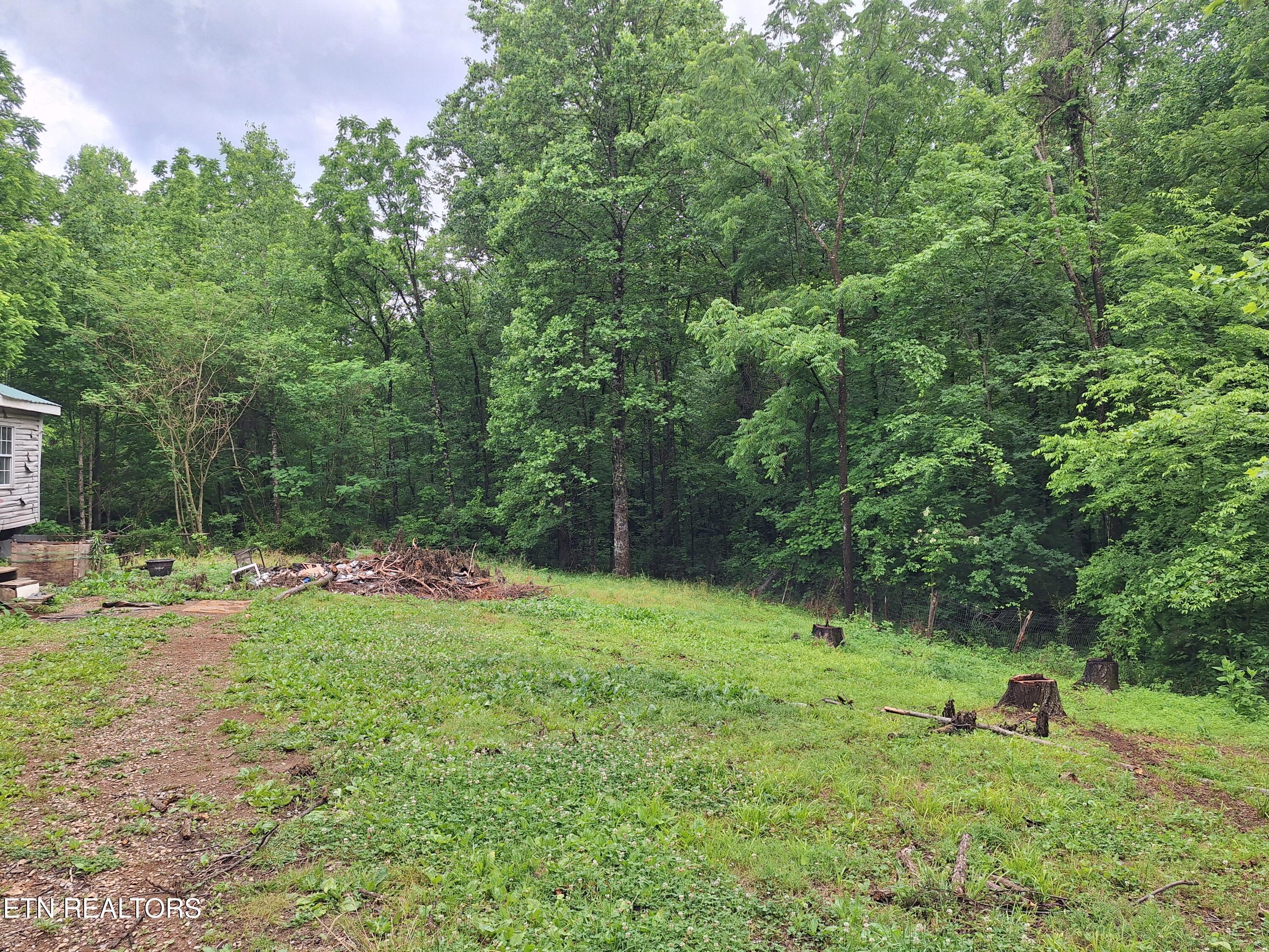 160 Mountain Road Tellico Plains, TN 37385 - Photo 9 of 10 20260521_181304