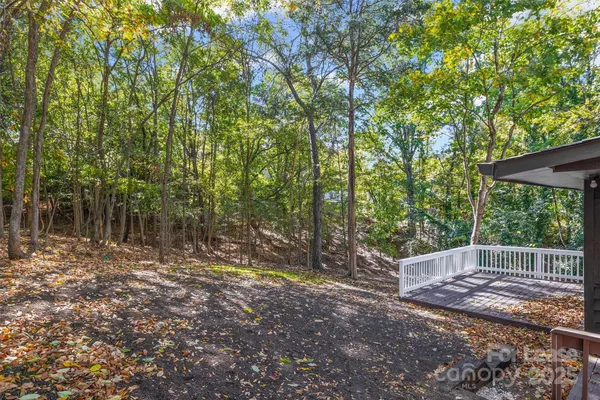 a view of backyard with tree