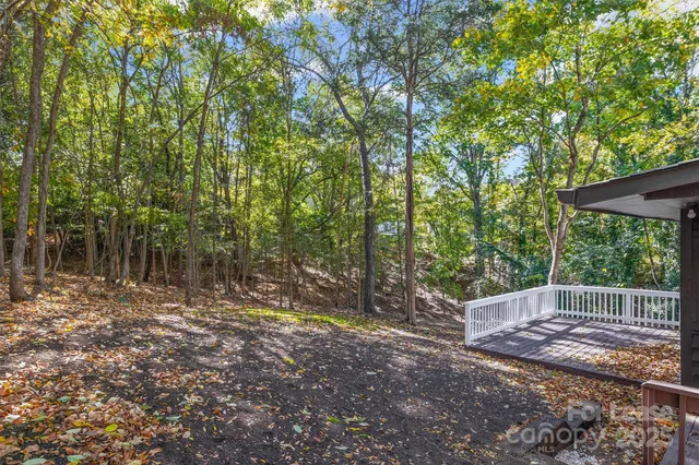 a view of backyard with tree